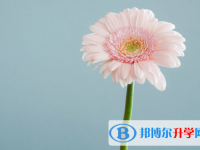 2021年攀枝花中考成績(jī)何時(shí)出來(lái)