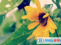 重慶中考沒(méi)有被學(xué)校錄取咋辦