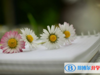 重慶中考錄取通知書(shū)
