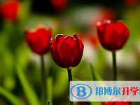 2021年渭南中考報名系統(tǒng)