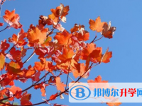 2021年渭南中考報名網(wǎng)站