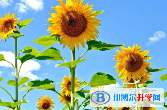 2021年咸陽(yáng)中考自主招生情況