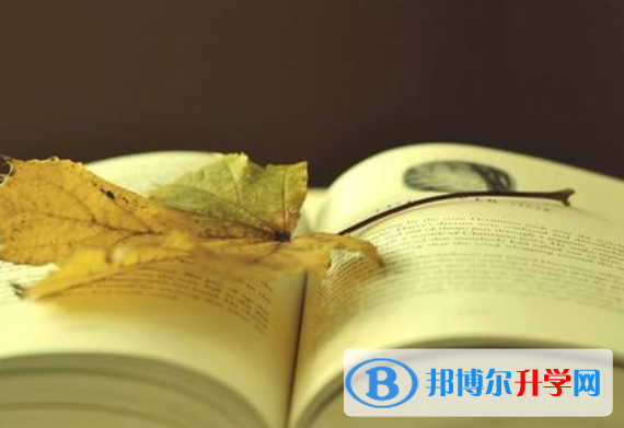 重慶中考志愿官網
