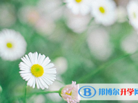 重慶中考填志愿統招和調劑