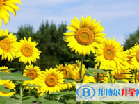 重慶中考升學(xué)錄取比例