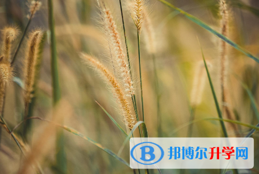 2021渭南中考查詢網