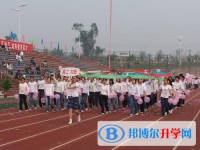 宜賓縣第二中學校2022年網站網址