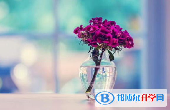 重慶中考調劑志愿