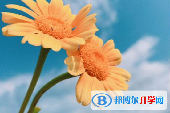 2021年咸陽(yáng)中考失利怎么辦