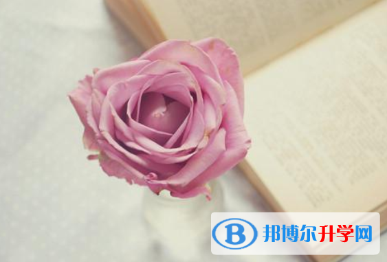 成都中考調劑志愿是什么意思