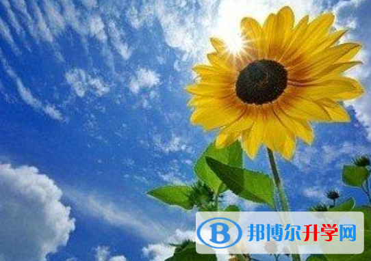 成都中考怎么填志愿才可以上到好的學校