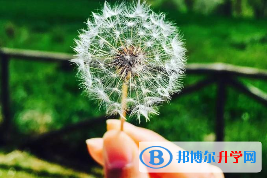 2021年咸陽中考如果未被錄取怎么辦