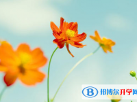 2021年咸陽(yáng)中考沒(méi)考好