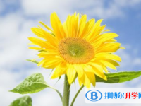 2021年咸陽(yáng)中考沒(méi)有考上怎么辦
