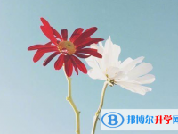 2020年自貢中考成績查詢時間