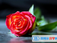 2020年內(nèi)江中考成績出來了嗎