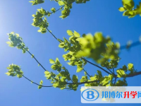 2020年內(nèi)江中考自主招生報名