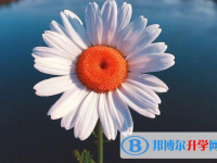 2020年內江中考重點線