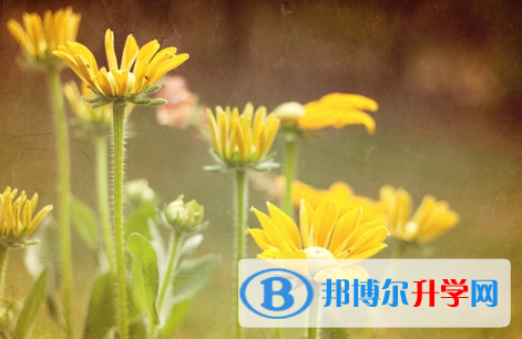 2021年延安中考可以報哪些學校