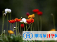 2021年延安中考考生人數