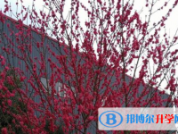 崇州市江源鎮(zhèn)中學2025年學費、收費多少