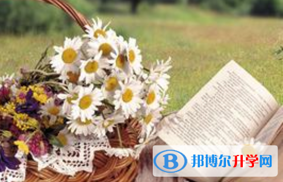 2020年樂山今年中考統招線包括哪些區域