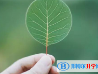 2021年咸陽沒有學籍可以參加中考嗎