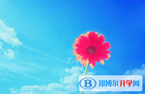 2020年樂山中考重點線