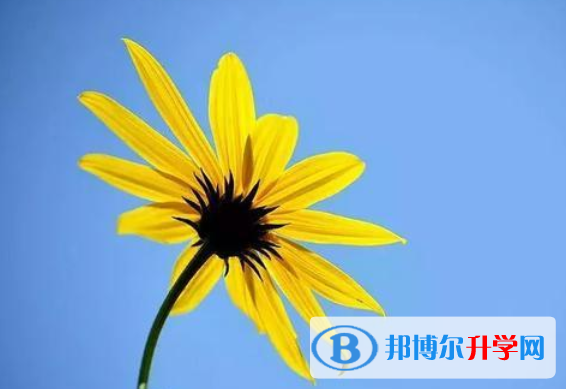 2020年樂山中考信息服務(wù)平臺