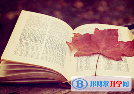  2020年山中考網(wǎng)絡(luò)應(yīng)用服務(wù)平臺