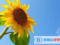 2020年樂山中考網錄取系統