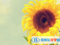 2020年樂山中考回老家讀行嗎