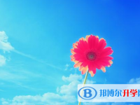 2020年樂山中考報志愿時間