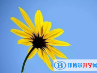 2020年巴中中考網(wǎng)上報名系統(tǒng)