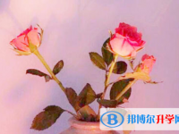 2021年咸陽什么是中考調劑生