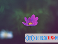 2021年延安中考升學錄取比例