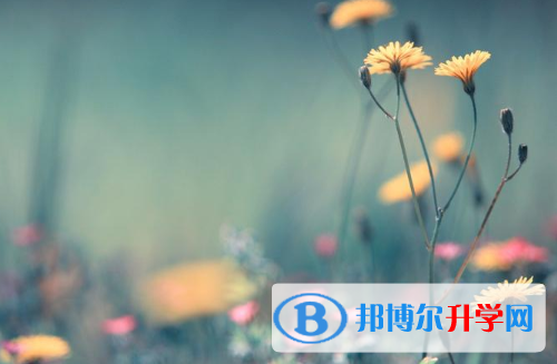 2021年延安中考時(shí)間表