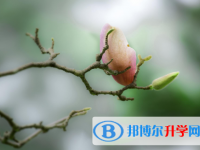 2021年延安中考調招