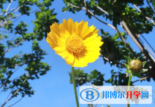  2020年南充中考網上志愿如何打印