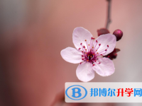 2021年延安中考網(wǎng)絡(luò)服務(wù)應(yīng)用平臺(tái)