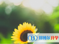 2021年延安中考網(wǎng)絡(luò)應(yīng)用平臺(tái)