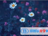 2021年延安中考網(wǎng)上報(bào)考信息平臺(tái)