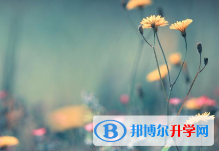 2021年延安中考網(wǎng)上報名模擬