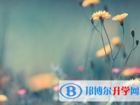 2021年延安中考網(wǎng)上報(bào)名模擬