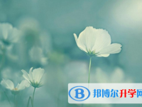 2021年延安中考線預(yù)測(cè)