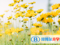 2021年延安中考信息服務(wù)平臺(tái)