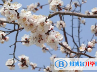 2021年延安中考招生網(wǎng)絡應用服務平臺