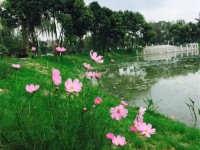 成都市實驗三原外語學校2025年招生辦聯(lián)系電話