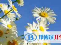 2021年涼山中考應(yīng)對策略