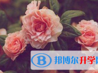 2021年涼山中考統(tǒng)考成績